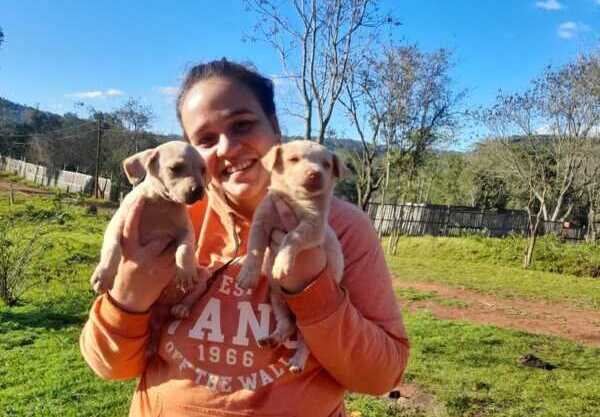 “Cada acción cuenta: la protectora de Oberá trabaja por animales más sanos y comunidades responsables.”