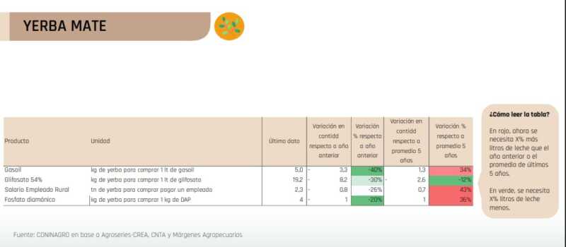 Monitor Insumo-Producto CONINAGRO: la yerba mejora frente a 2024 pero no alcanza para salir de la crisis 9 yerba costos - 8