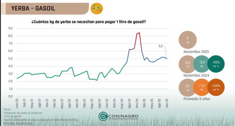 Monitor Insumo-Producto CONINAGRO: la yerba mejora frente a 2024 pero no alcanza para salir de la crisis 5 yerba gasoil - 4