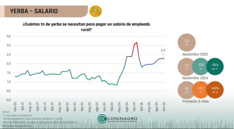 Monitor Insumo-Producto CONINAGRO: la yerba mejora frente a 2024 pero no alcanza para salir de la crisis 7 yerba salario - 6