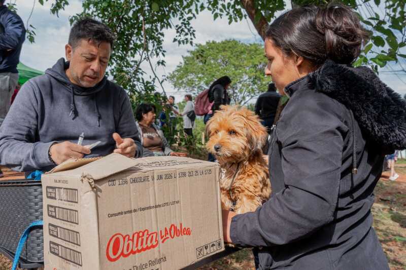 IMuSA despliega su quirófano móvil en distintos sectores de Itaembé Guazú 3 IMuSA refuerza la atención veterinaria en los barrios con operativos móviles