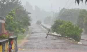 El Niño continúa: prevén lluvias y tormentas severas durante el fin de semana en Misiones El Niño continúa: prevén lluvias y tormentas severas durante el fin de semana en Misiones