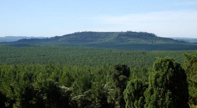Torres rechazó la reforma de la Ley de Tierras: “En términos de soberanía, es una barbaridad” 4 Regiones clave del país, atravesadas por tensiones entre control territorial y defensa del interés público.