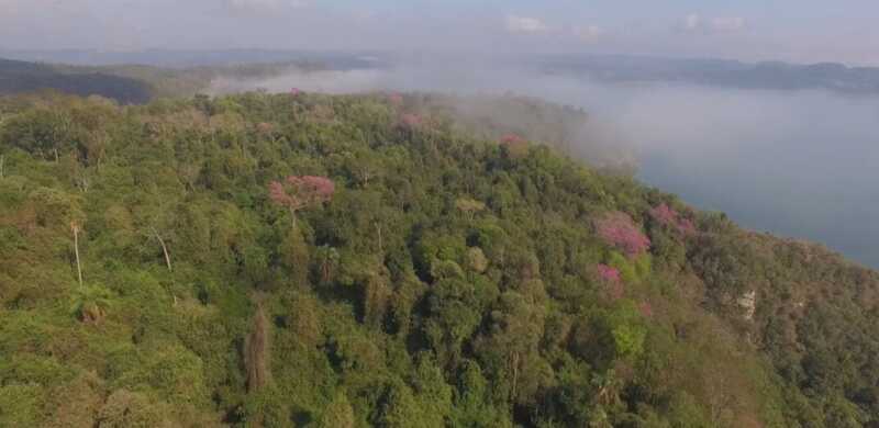 Extranjerización de tierras en Misiones y Corrientes: departamentos que ya superan el límite legal 1 El suelo, el agua y los bosques como bienes estratégicos en el centro de un modelo de desarrollo en discusión.