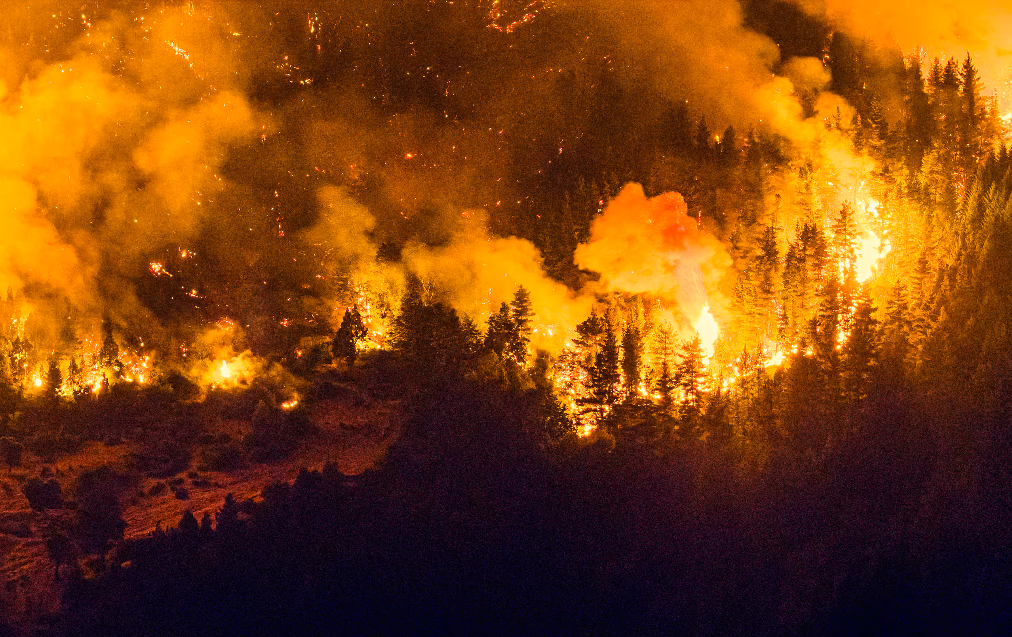 Chubut: el fuego ya arrasó más de 40 mil hectáreas y la emergencia se agrava 2 Chubut