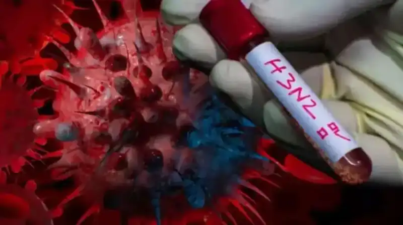 Alerta sanitaria por un brote histórico de gripe H3N2 H3N2