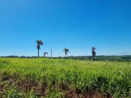 Misiones