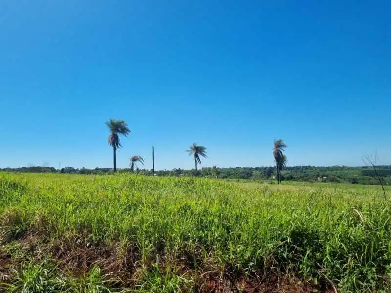 Martes soleado y con máximas que alcanzarán los 34° en Misiones Misiones