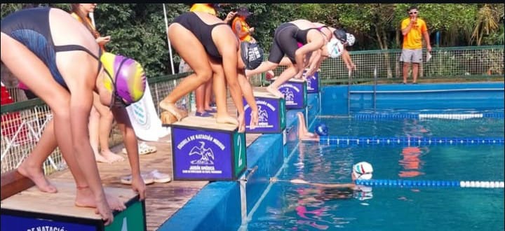 natación 