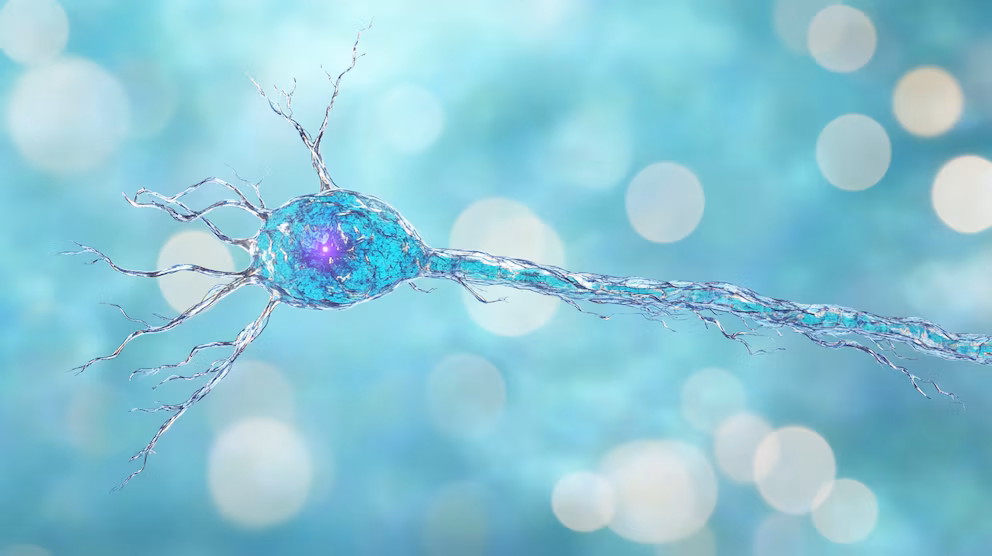 Cuatro síntomas del Parkinson que pueden aparecer décadas antes del diagnóstico 2 Parkinson
