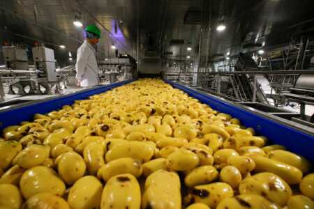 Cadena de papas fritas congeladas cierra una planta en Argentina y despide a 100 trabajadores planta