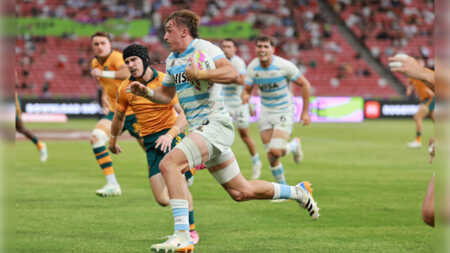 Pumas