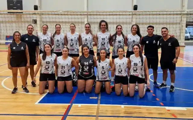 Voley