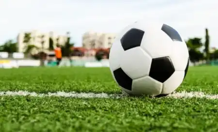 Liga posadeña
