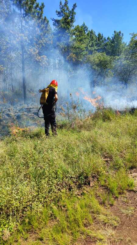 Fuego en Santa Ana: Bomberos lograron controlar un incendio de 20 hectáreas 2 Bomberos sofocaron un incendio forestal que afectó 20 hectáreas en Santa Ana