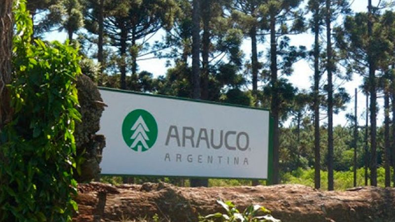 Fabiana Perié sobre la Reforma de la Ley de Tierras: "Pedimos a los senadores Goerling, Arce y Rojas Decut que voten negativamente" 5 arauco - 4