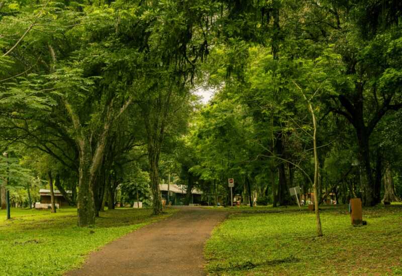 balneario misiones10 - 10