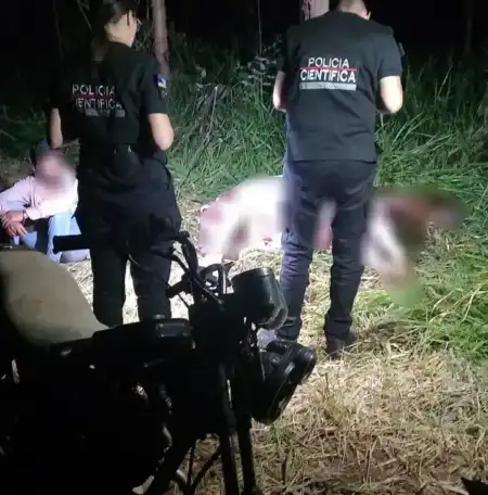Los sorprendieron faenando un caballo y fueron detenidos en un operativo nocturno caballo