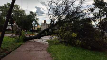Posadas temporal