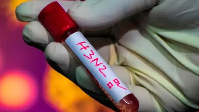 Influenza A(H3N2): aumenta la circulación en Argentina y crece la positividad de casos respiratorios 1 El aumento de contagios de gripe H3N2 preocupa a las autoridades sanitarias, mientras la variante J.2.4.1 ya domina la mayoría de los casos secuenciados en el país.
