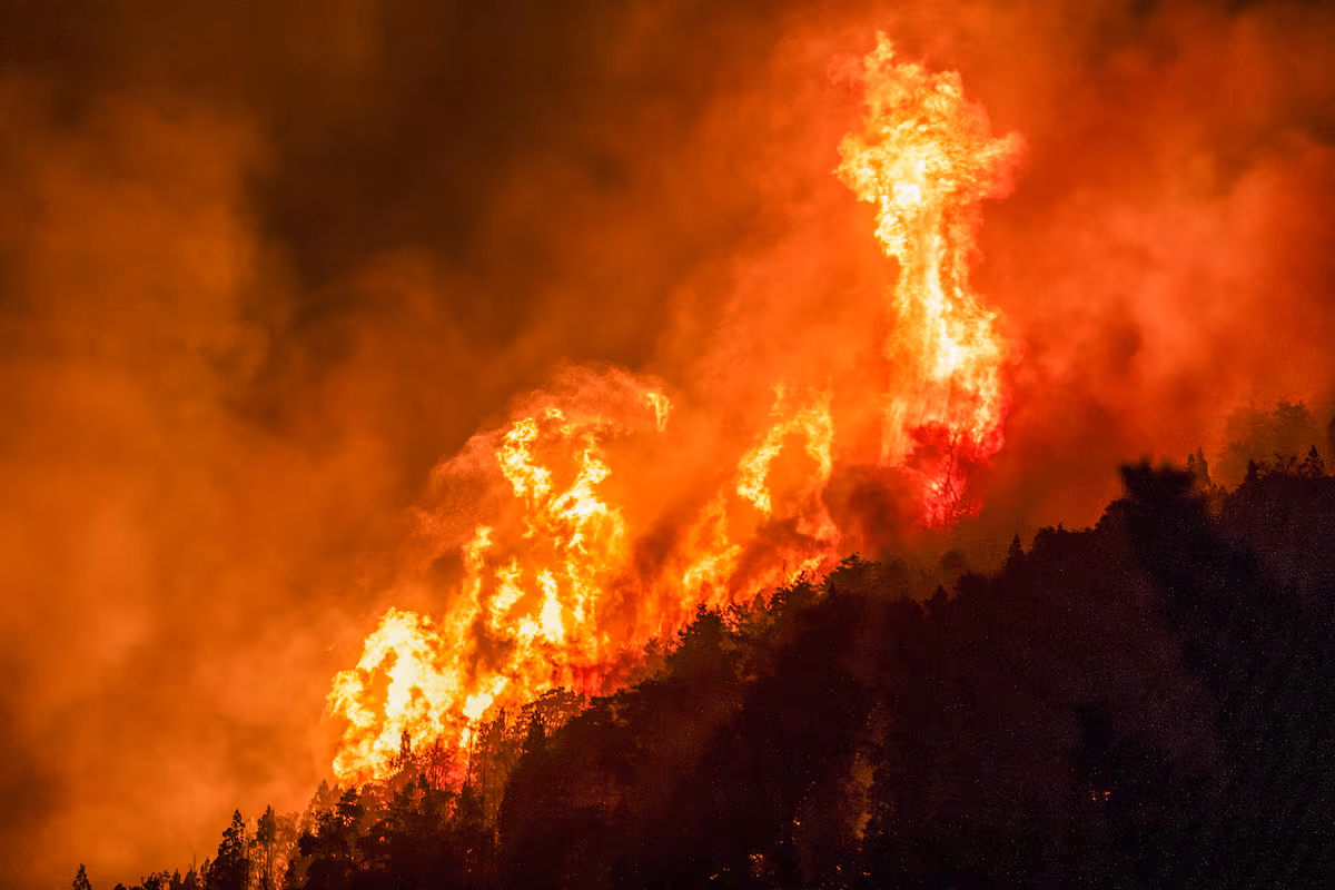 Economista acusa a Milei de desfinanciar el Servicio Nacional del Manejo del Fuego 4 incendio patagonia 2 - 3
