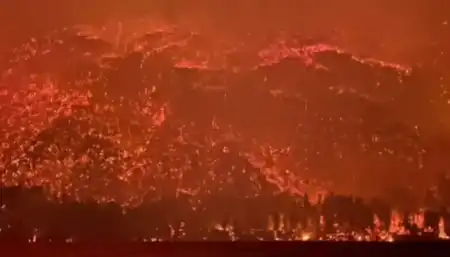 Economista acusa a Milei de desfinanciar el Servicio Nacional del Manejo del Fuego Milei fuego
