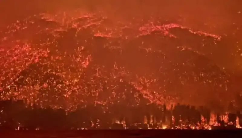 Por X, Milei agradeció a brigadistas y bomberos que combaten incendios en la Patagonia 2 Milei fuego