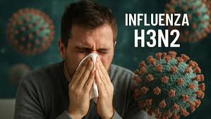 Corrientes confirmó dos casos de Influenza A H3N2 subclado K 6 influenza h3n2 - 5