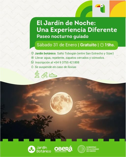 Sábado a pleno para cerrar enero en Oberá: paseo nocturno en el Jardín Botánico y Peatonal Cultural en el centro 5 Paseo Nocturno de Luna Llena y Peatonal Cultural, dos propuestas que marcan el cierre de enero en Oberá.