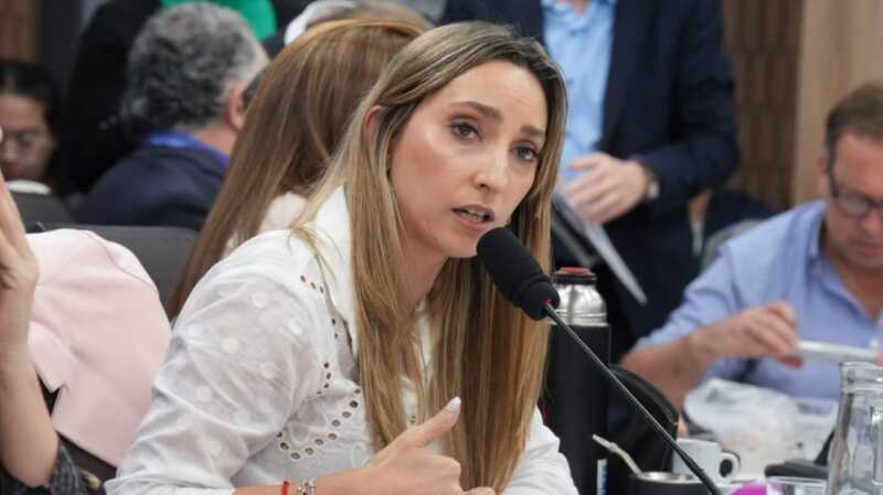 Economista acusa a Milei de desfinanciar el Servicio Nacional del Manejo del Fuego 2 julia strada economista y diputada nacional de union por la patria up 2088628 - 1