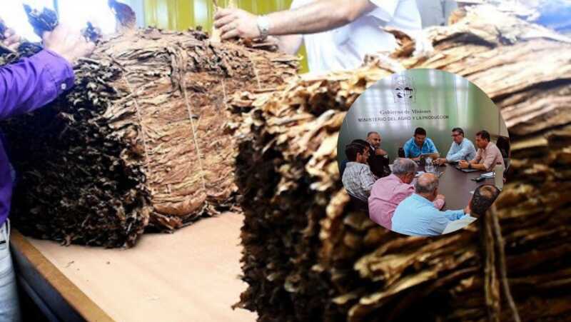 tabaco Misiones tabacalera