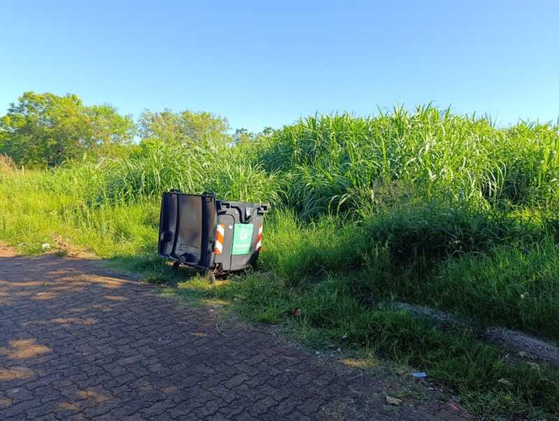 Barrio Aeroclub: reclaman mantenimiento de espacios verdes ante el avance de mosquitos y temor al dengue aeroclub pastizales mosquitos dengue