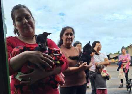patitas felices obera animales 10 e1768483827698 - 1