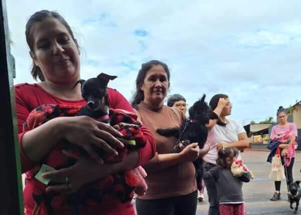 Castraciones y rescates, la batalla diaria de la protectora Patitas Felices en Oberá patitas felices obera animales 10 e1768483827698 - 1