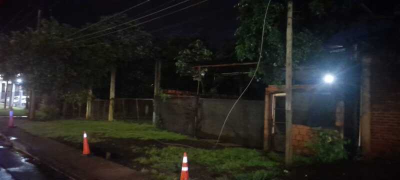 Detectaron un cable caído por un perro que recibió una descarga eléctrica en Posadas 2 perro posadas 1 - 1