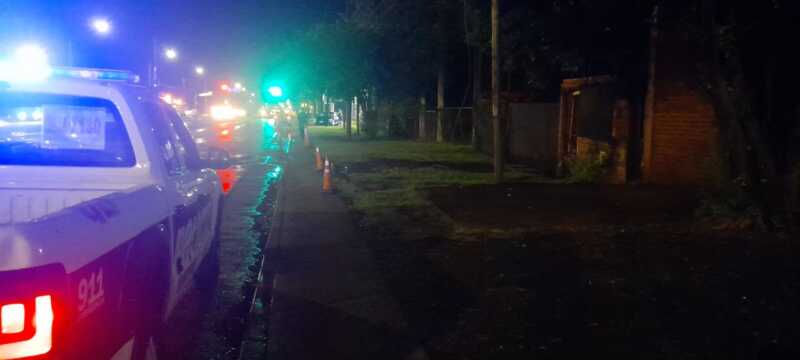 Detectaron un cable caído por un perro que recibió una descarga eléctrica en Posadas Posadas perro
