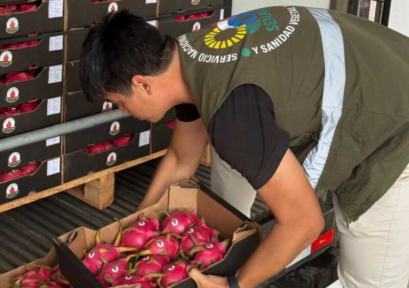 paraguay pitahaya