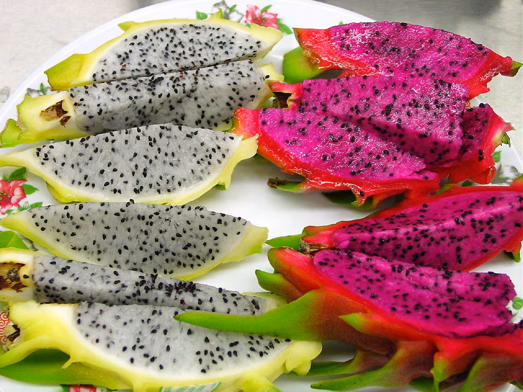 pitahaya5 - 5
