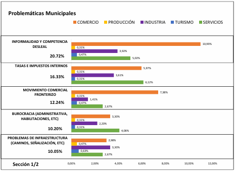 problematicas municipales - 13
