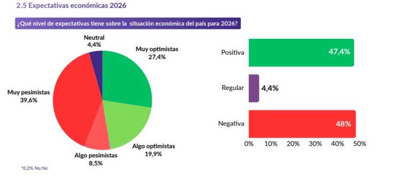 Monitor Zentrix enero 2026: el 74,7% de los argentinos asegura que su salario no le gana a la inflación 4 situacion economica - 3