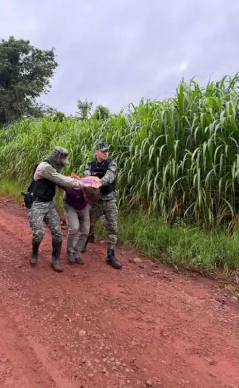 Cayó el principal sospechoso por el crimen del técnico dental y hallaron el arma homicida sospechoso
