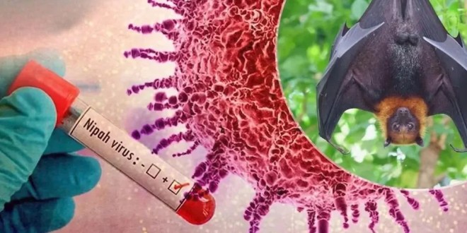 virus