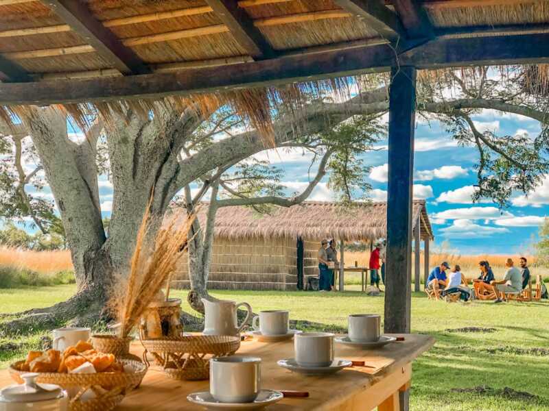 Iberá, el destino correntino que conquista a turistas argentinos y extranjeros 9 625223495 1299595988854981 7266605234181758471 n - 8