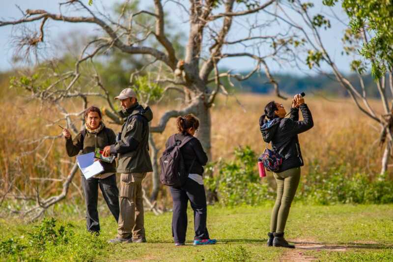 Iberá, el destino correntino que conquista a turistas argentinos y extranjeros 3 625404180 1299595895521657 5774621744489513839 n - 2