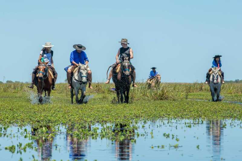 Iberá, el destino correntino que conquista a turistas argentinos y extranjeros 5 625545918 1299596025521644 262692762555238155 n - 4
