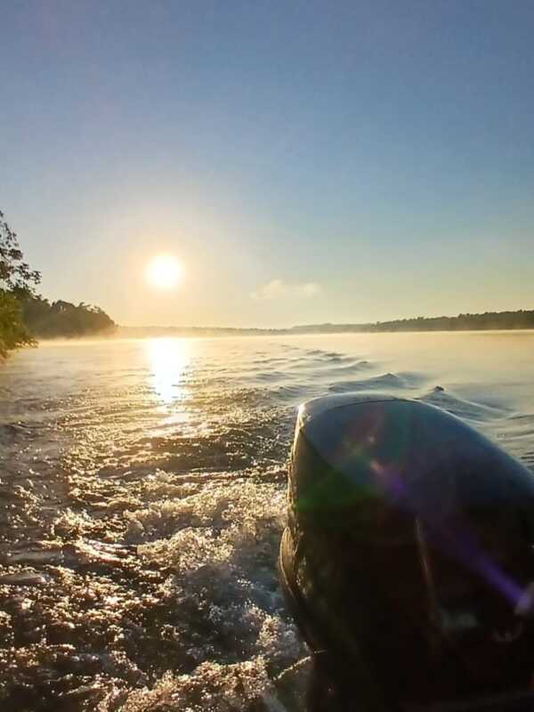 Avistaje de yaguareté con crías en el Parque Nacional Iguazú 5 625965250 18071506085396157 3748821531637573661 n - 4
