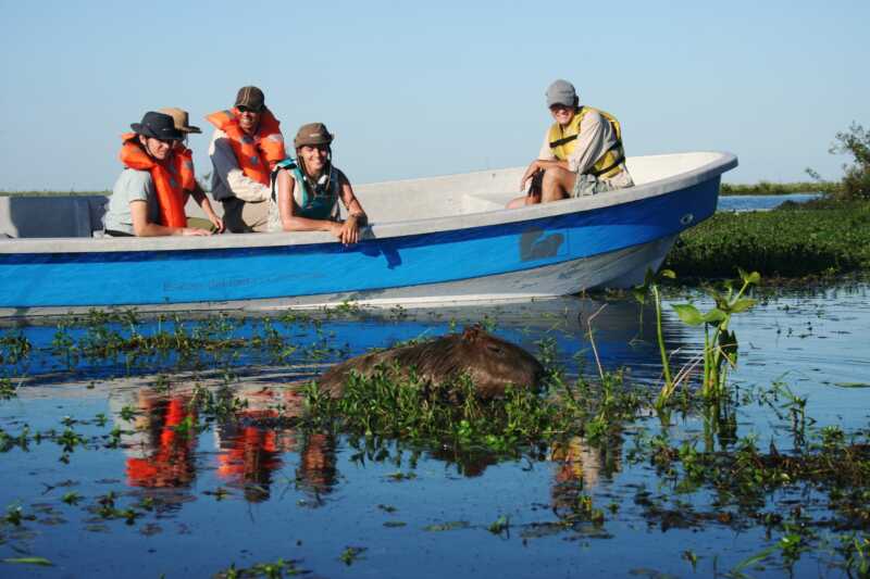 Iberá, el destino correntino que conquista a turistas argentinos y extranjeros 626630539 1299596155521631 7337425895691886601 n - 1