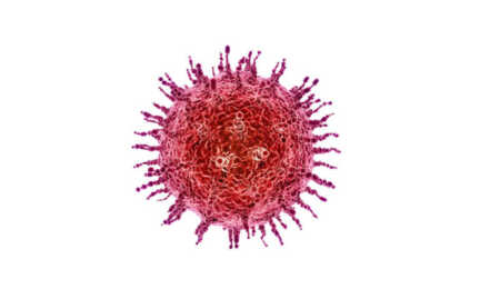virus