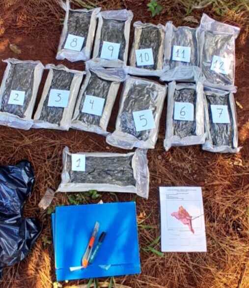 Millonario secuestro de marihuana en un operativo sobre la Ruta Nacional 12 2 Secuestraron casi 26 kilos de marihuana valuados en más de 37 millones de pesos durante un operativo policial realizado sobre la Ruta Nacional 12, en Montecarlo.
