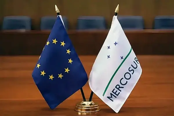 Argentina agotó el cupo de exportación de huevos a la Unión Europea y superó las 330 toneladas acuerdo Mercosur Union Europea